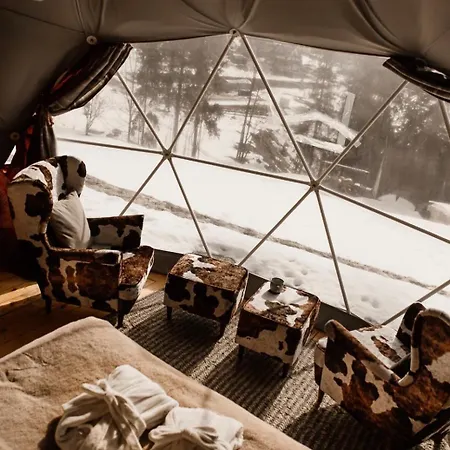 Tatra Glamp - Siec Noclegowa Tatra Glamp Luxusní stan